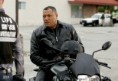 /album/laurence-fishburne/laurence-fishburne-2-jpg1/